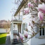 openconcept Lyss, Schweizer Software, Swiss Made Software